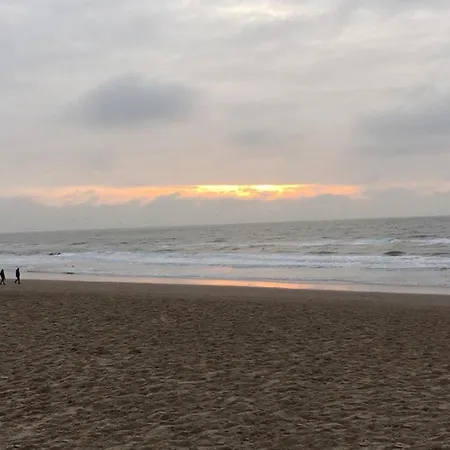 Dromen Aan Het Vakantiehuis *