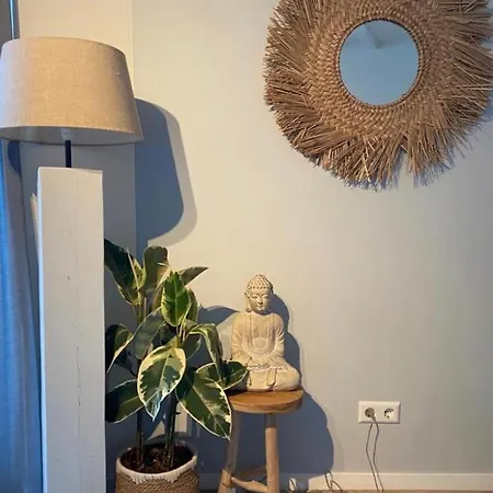 Dromen Aan Het * Egmond aan Zee