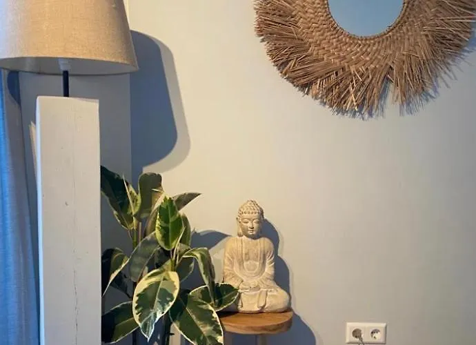 Dromen Aan Het * Egmond aan Zee